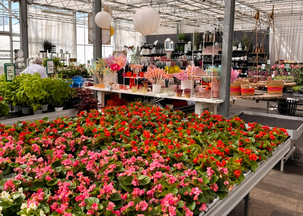 Monheimer Blumenmarkt